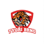 TYGRI BRNO logo