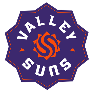 VALLEY SUNS Logo