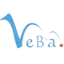 VEBA BASKET logo