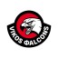 VIKOS FALCONS logo