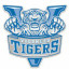VOORHEES logo