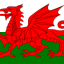 WALES logo