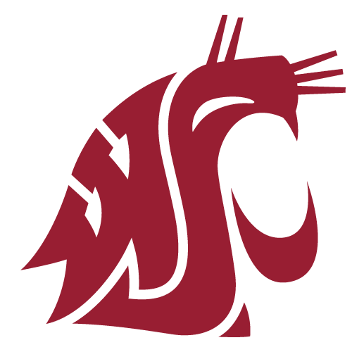 WASHINGTON STATE Logo