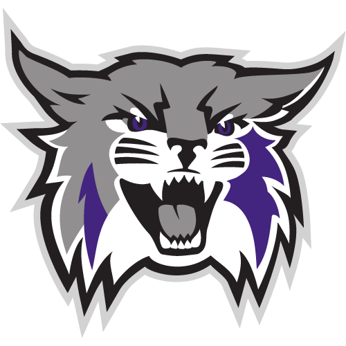 WEBER STATE Logo