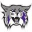 WEBER STATE logo