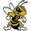 WEST VIRGINIA STATE logo