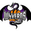 YMAGATA WYVERNS logo