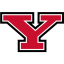 YOUNGSTOWN STATE logo
