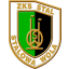 ZKS STAL logo