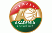 AKADEMIA KECSKEMET B logo