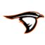 ANDERSON IN logo