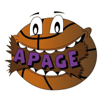 APAGEBASKET Logo