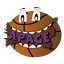 APAGEBASKET logo