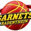 ASKO RADENTHEIN GARNETS logo
