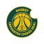 BASKET CERVANTES CIUDAD REAL logo
