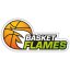 BASKET FLAMES 2 logo