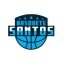 BASQUETE SANTOS logo