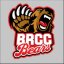 BATON ROUGE CC logo