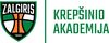 BC ZALGIRIS KAUNAS V logo