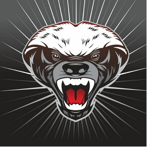 BK UNIVERSITET logo