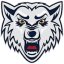 BK WOLVES RADOTIN logo