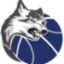 BMS HERLEV BASKETBALL logo