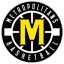 LEVALLOIS logo