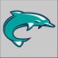BRUNSWICK CC logo