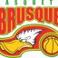 BRUSQUE BASQUETE logo