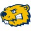 BUENA VISTA logo