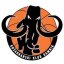 CALCIT BASKETBALL logo