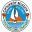 CIFTLIKKOY BELEDIYESPOR logo