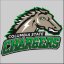 COLUMBIA STATE CC logo