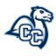 CONNECTICUT COLLEGE logo