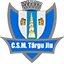 CSM TARGU JIU logo