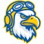 EMBRY RIDDLE ARIZ logo