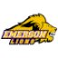 EMERSON logo