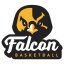 FALCON BASKETBALL logo