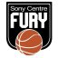 FALKIRK FURY BC logo