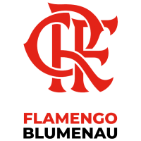 FLAMENGO BLUMENAU Logo