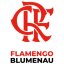 FLAMENGO BLUMENAU logo