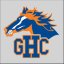 GEORGIA HIGHLANDS COLLEGE logo