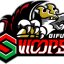 GIFU SWOOPS logo