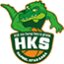 HAPOEL KFAR SABA KOHAV YAIR logo
