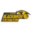 HAUSTECHNIK GUSSING BLACKBIRDS logo