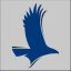 HILLSBOROUGH CC logo