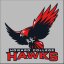 HOWARD COLLEGE TX logo
