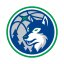 IOWA WOLVES logo