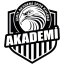 IZMIT AKADEMI SPOR KULUBU logo