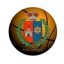 KALVARIJOS MSM logo